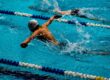 person swimming on marathon